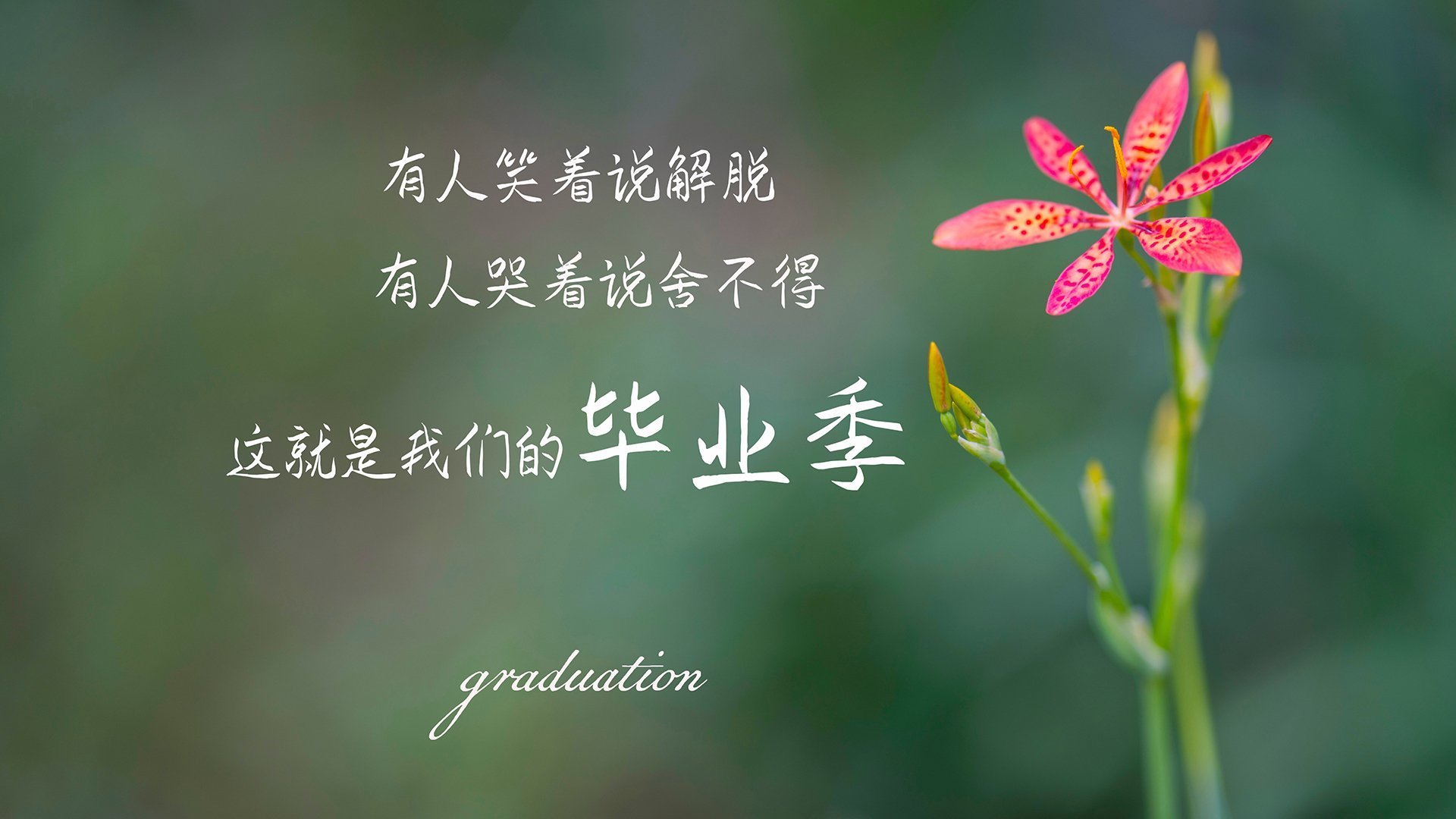 乐鱼体育APP官方下载-APEX英雄 新星选手异军突起，apex英雄突击手