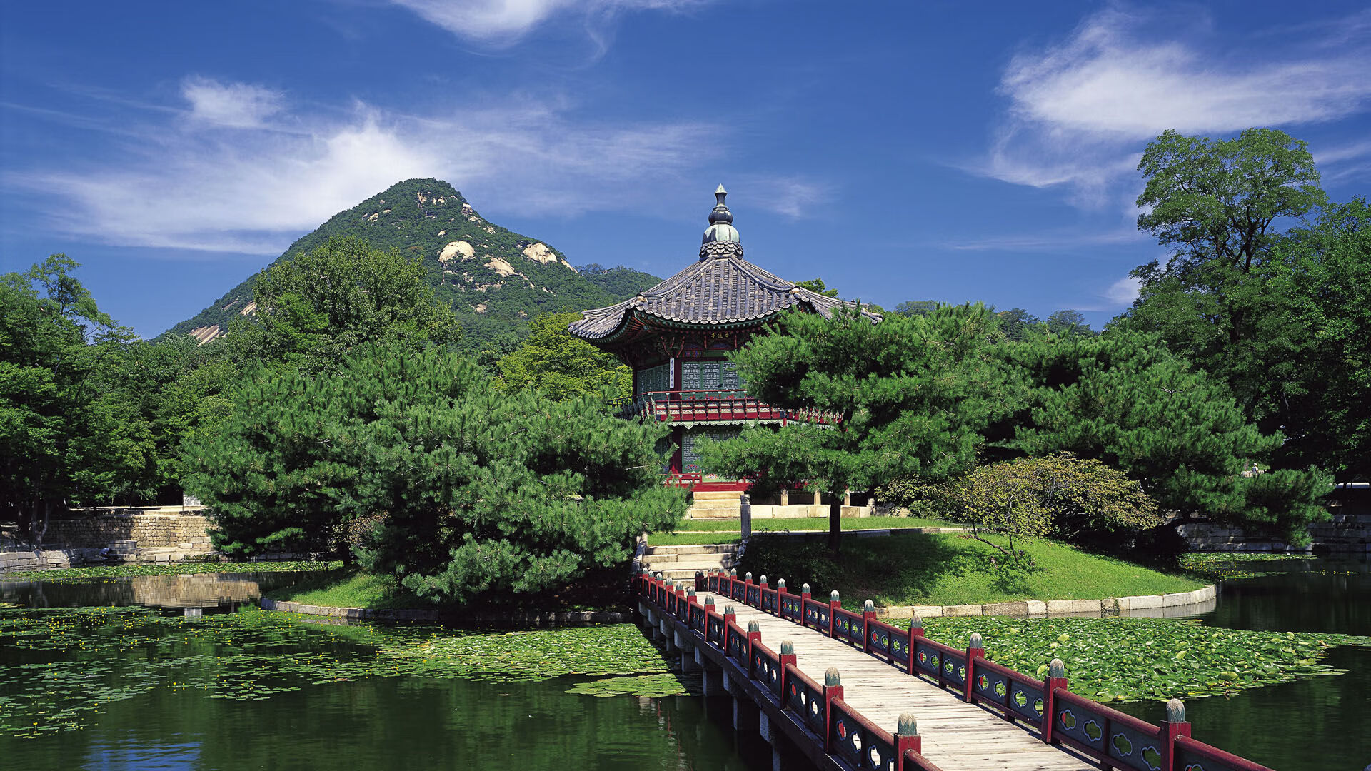 《2025年电竞直播市场,广告收入持续高增长》,电竞直播现状