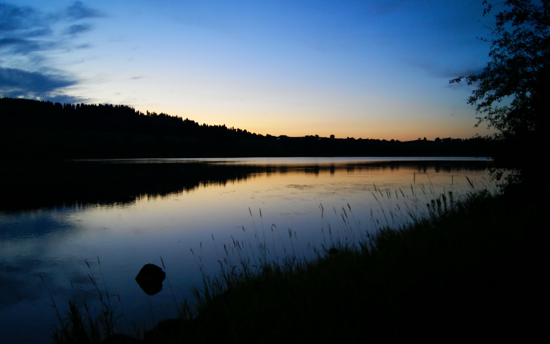 《跨界合作:电竞综艺携手娱乐界多方共赢》,跨界节目有哪些