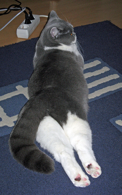 《青少年电竞竞技:成长的烦恼与未来的希望》,电竞青少年的逐梦路