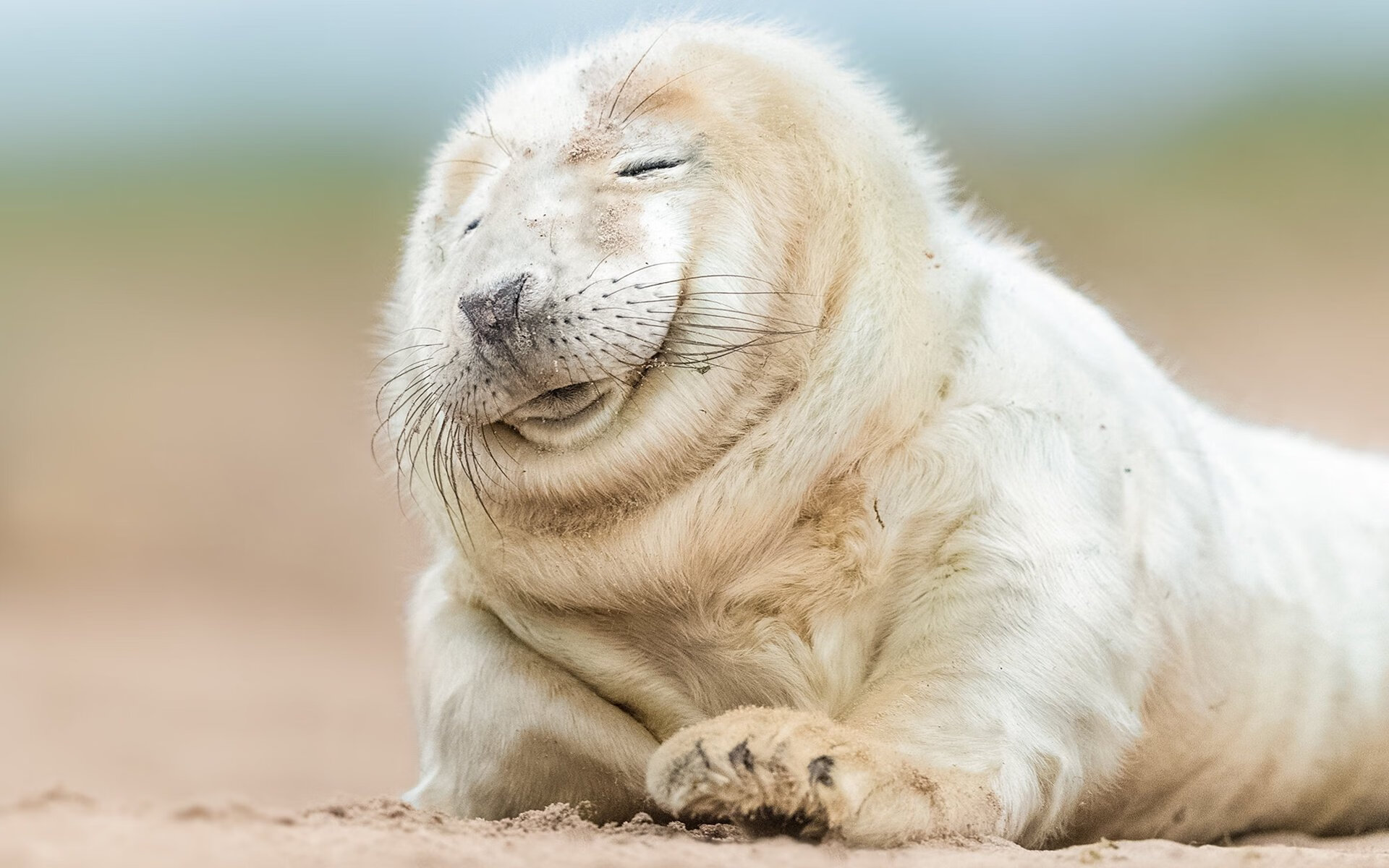 乐鱼体育登录-《青少年电竞策略：培养兴趣与防止沉迷兼得》，青少年电子游戏