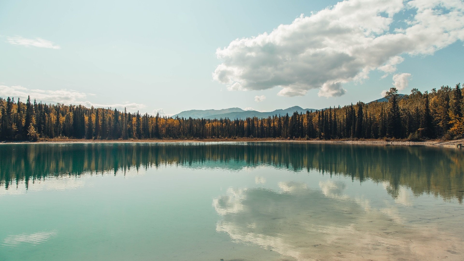 乐鱼电竞在线平台-【限时攻守】10秒内投球问世，比赛节奏大提速，内投球视频制作