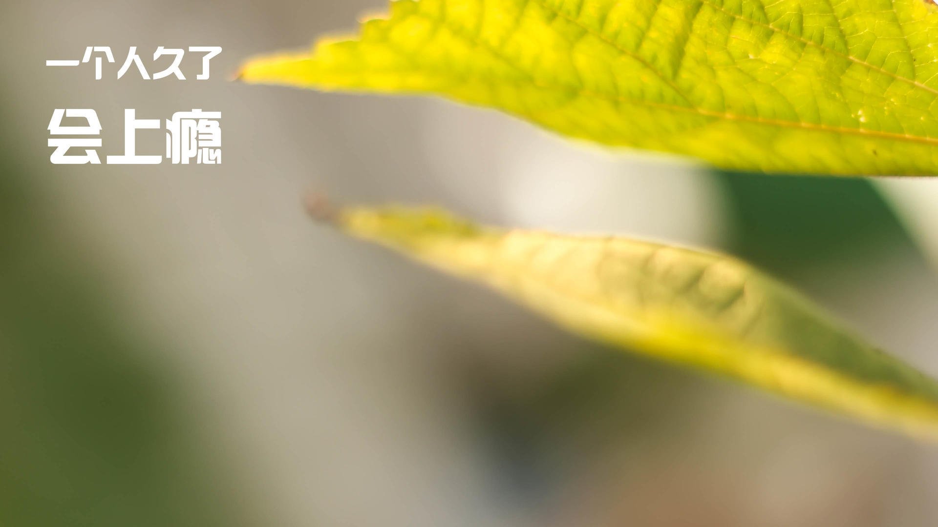 乐鱼电竞-【青少年冠军】丁俊晖的成长细节，激励下一代球员，丁俊晖成长之路