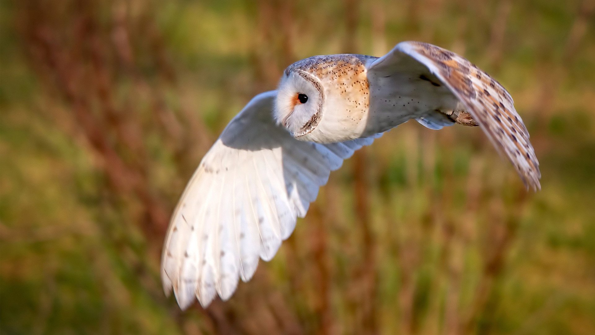 leyu乐鱼-【青少年训练指南】入门到精通的训练路线图，青少年训练营有用吗