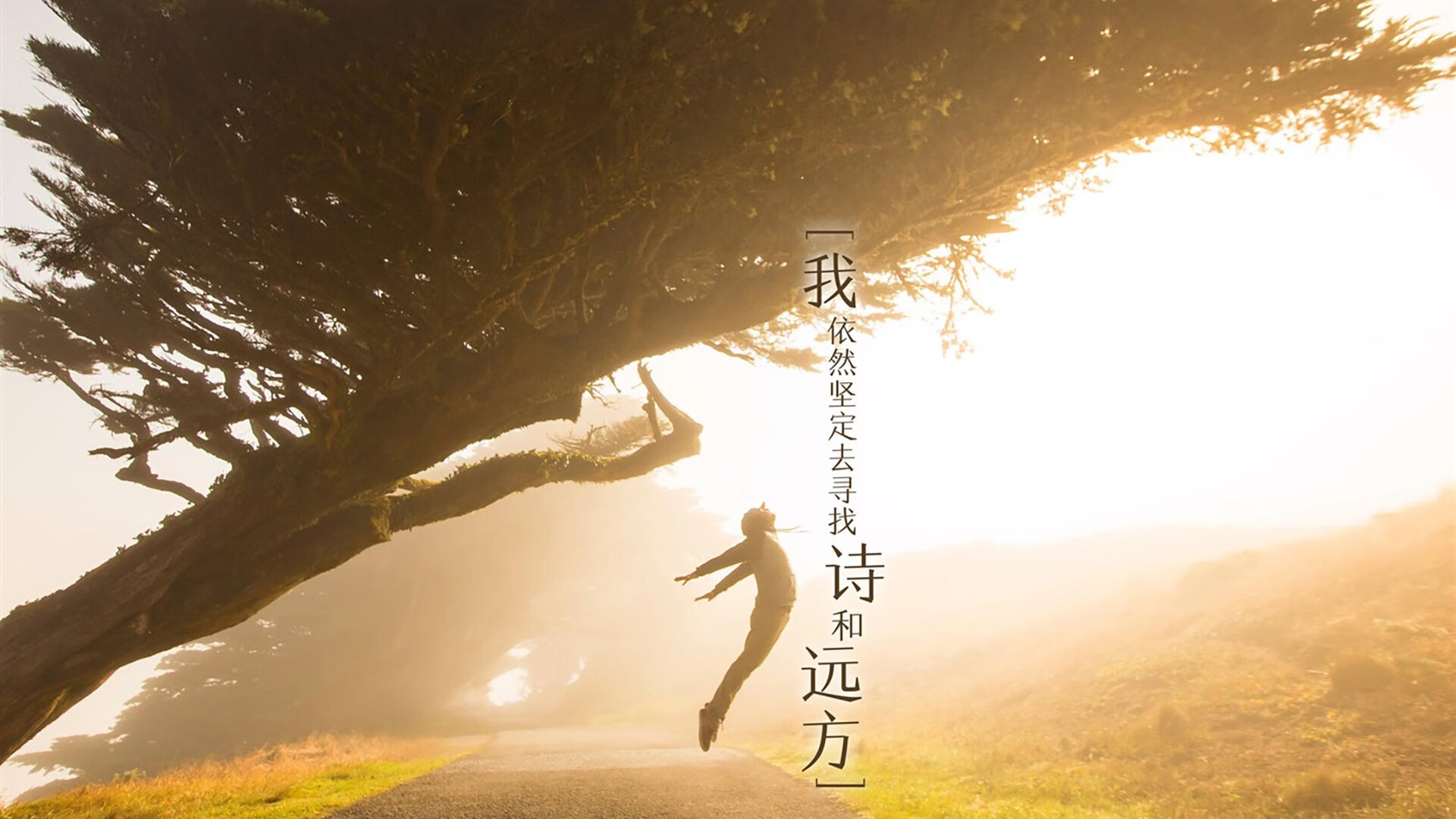 【青少年训练指南】如何塑造未来的顶尖运动员?,青少年运动员选材与培养