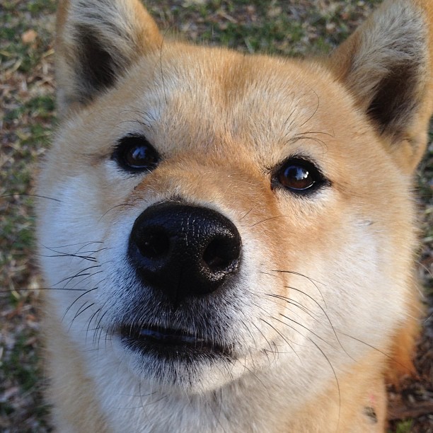 leyu.com-德甲赛事，精彩场面与战术变革同步推进，德甲经典比赛