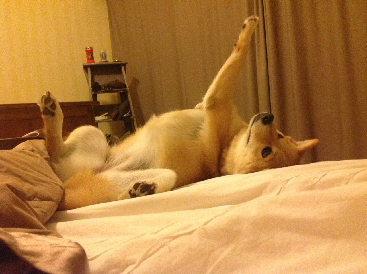 乐鱼官网-球场新气象：技术设备和数据分析的应用，球场数据图