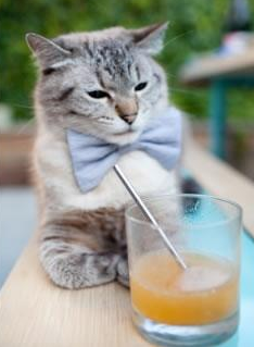 球场特写：运动员的关键瞬间特写镜头，运动员特写镜头200字左右