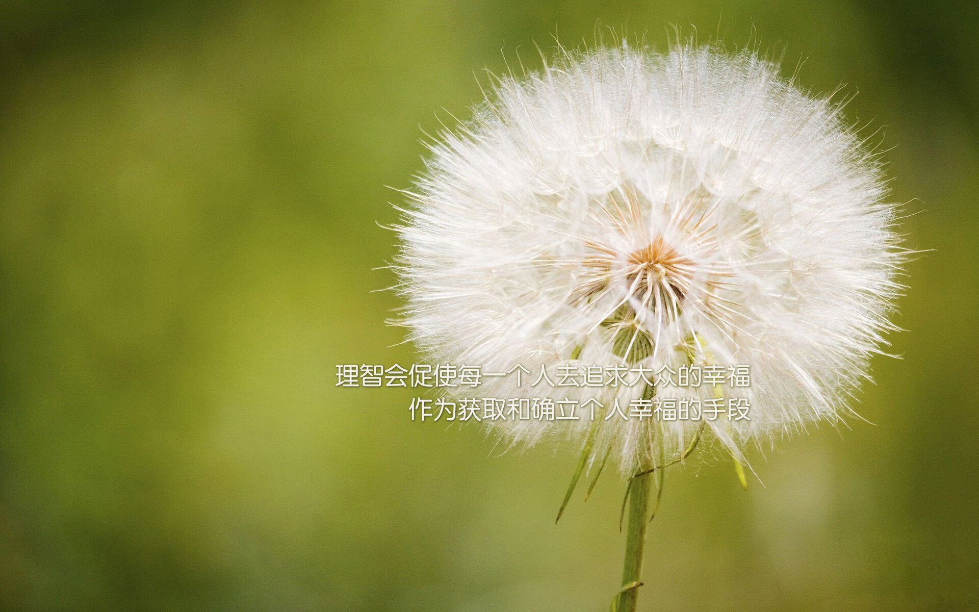 下载乐鱼体育APP-逆风翻盘：欧冠中最震撼的逆转胜利汇总，欧冠经典逆转比赛