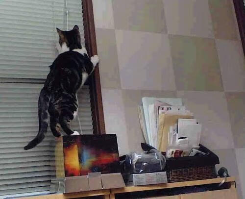 高性能涂料创新,赛车外观更炫酷耐用,最受欢迎的赛车涂装