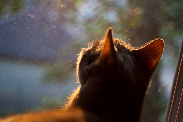 EDG启动新赛季科学训练计划,edg战队青训报名