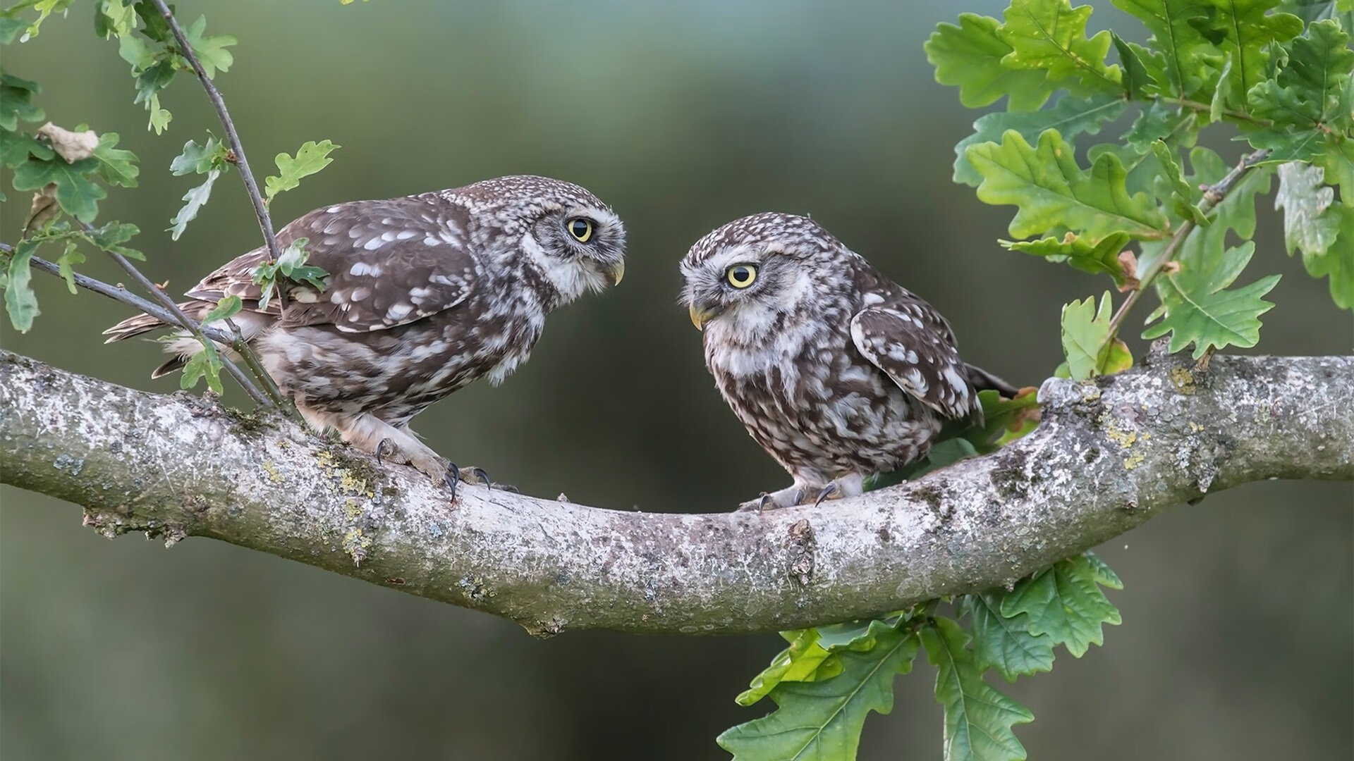 中超球队梯队系统发展趋于标准化,中超球队实力分析