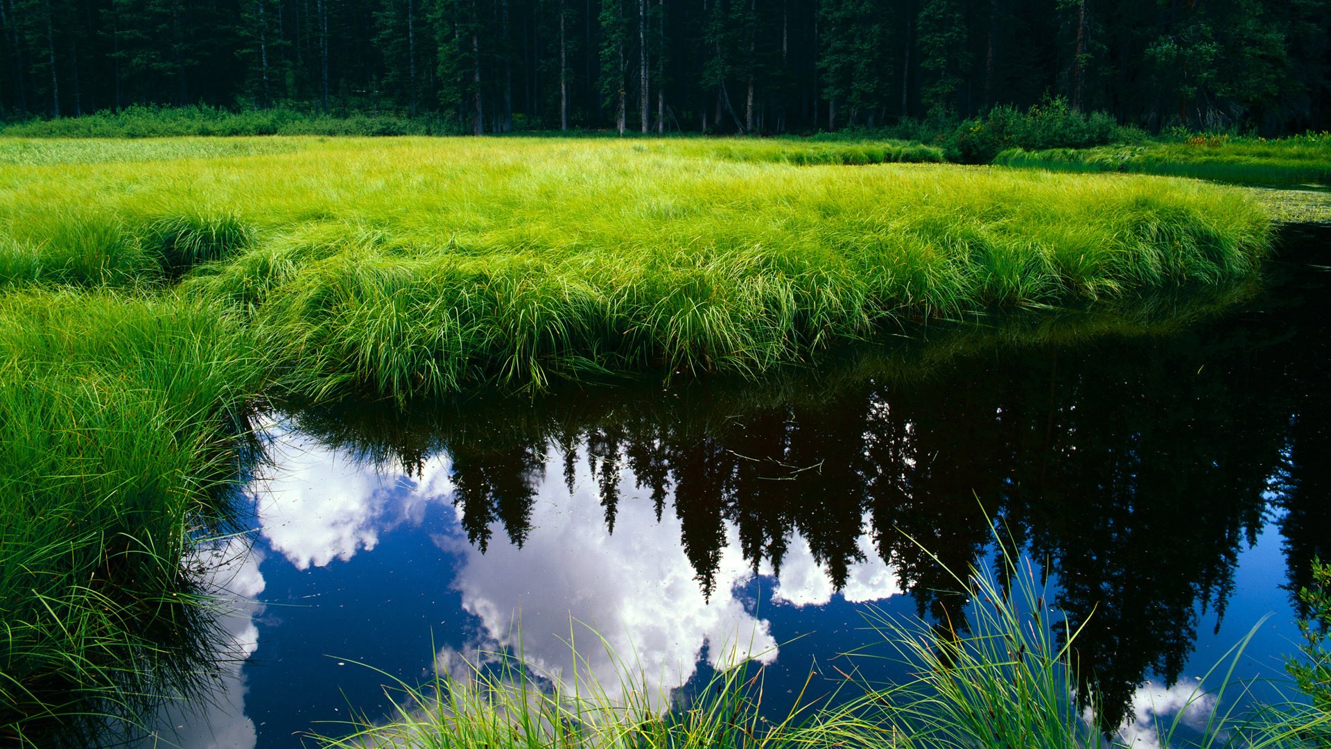 尤文图斯老将确认本赛季结束退役计划,尤文图斯 退役