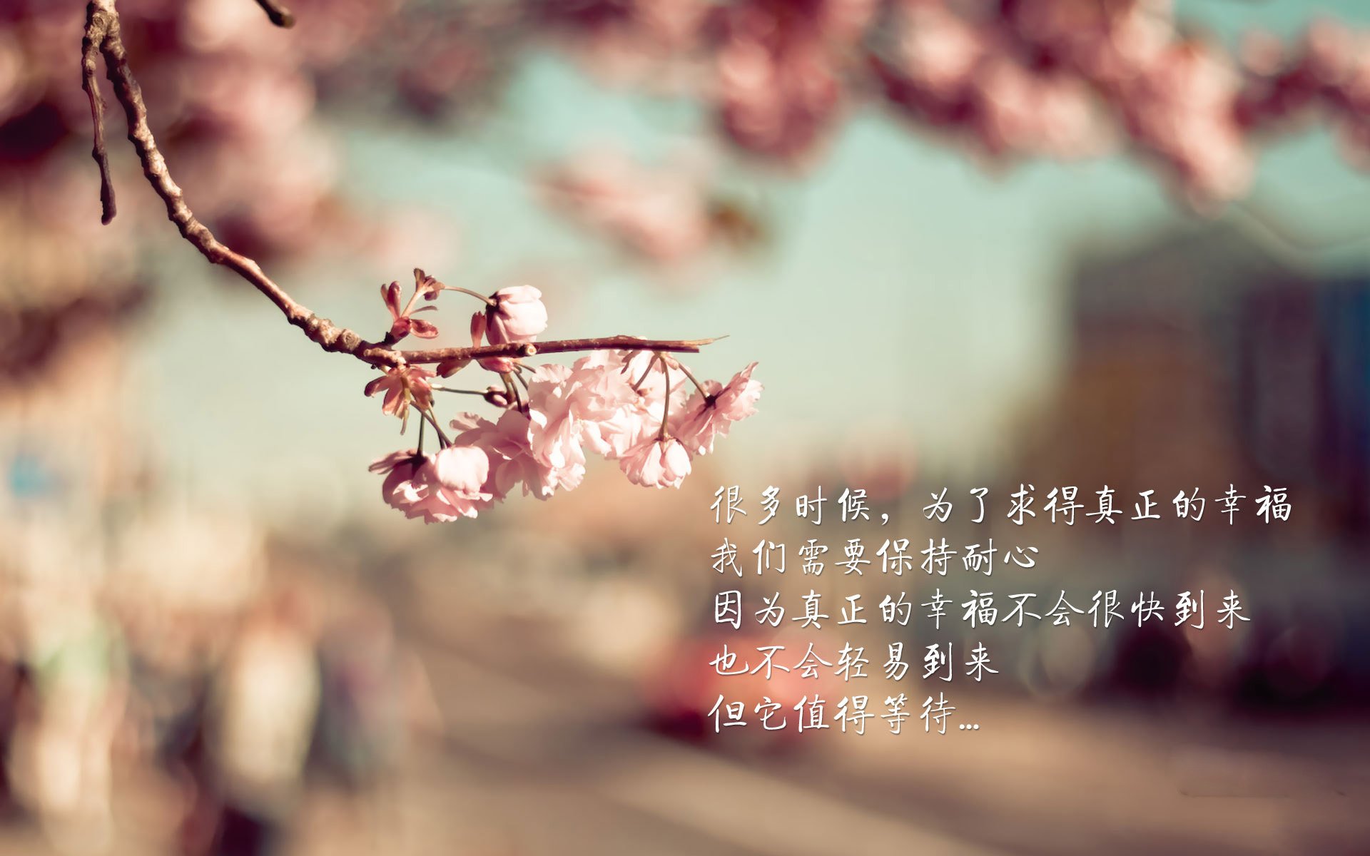 美因茨作战奥格斯堡,主场求生之路,美因茨vs奥格斯