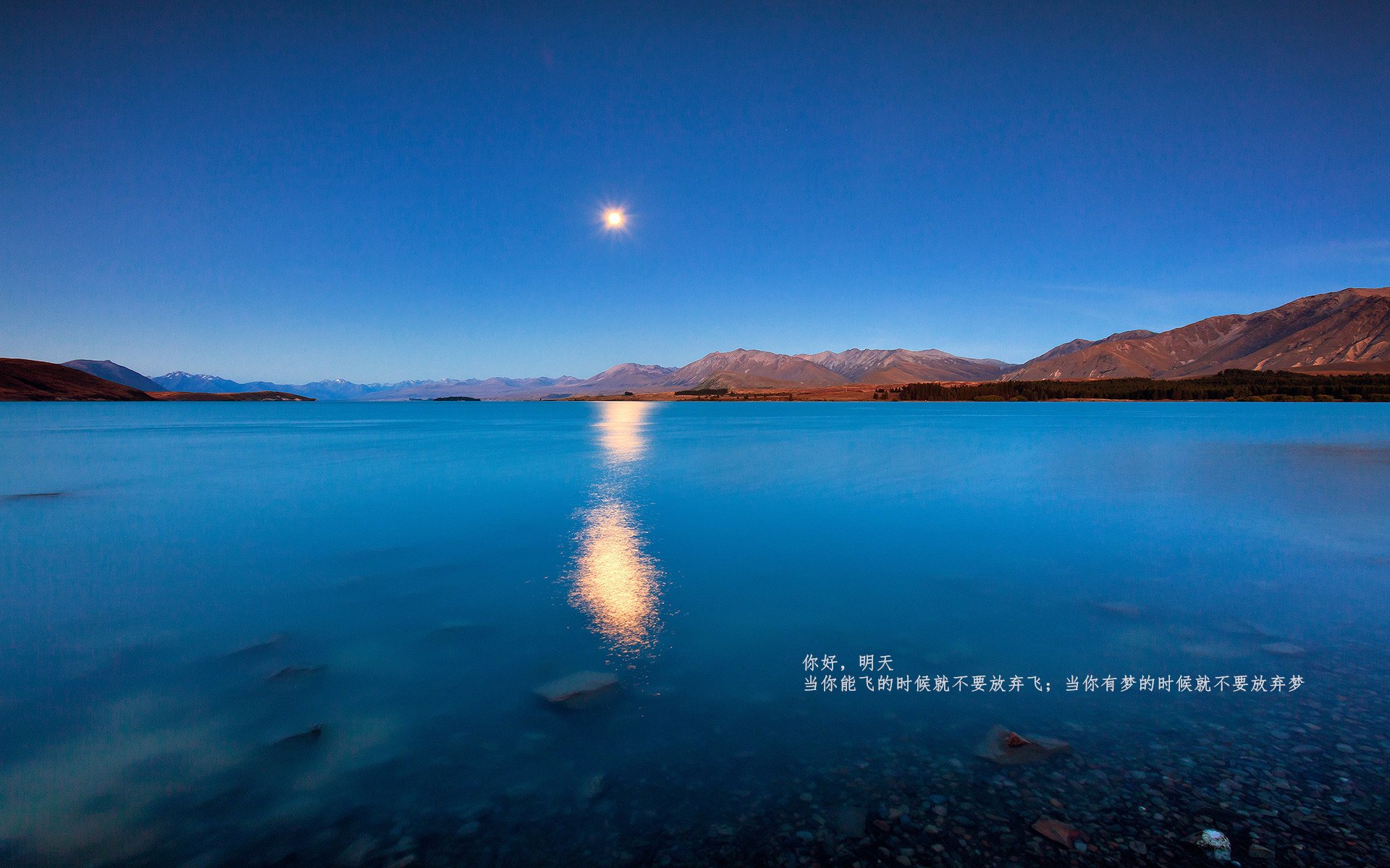 世界杯中国足球迎战 球迷期待激情绽放，世界杯足球比赛中国队