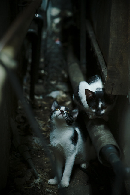 球队从落后到反超的节奏控制细节,足球落后反超