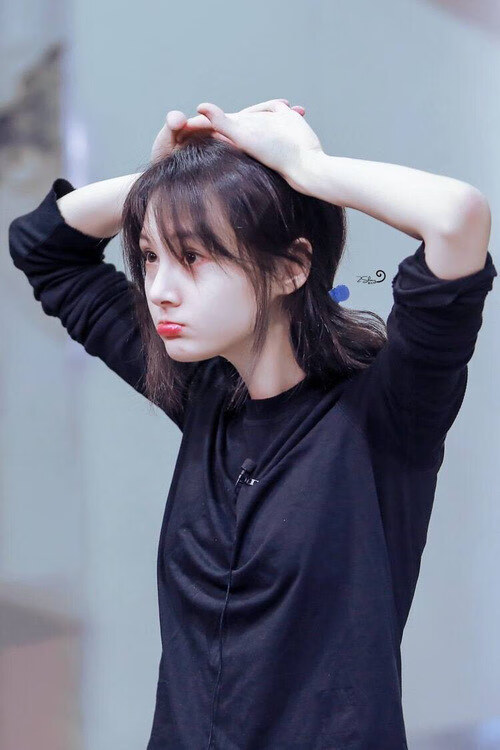 国家高山滑雪队新闻中心确认专项训练安排,全国高山滑雪项目建设发展研讨会于二零一七年几月召开