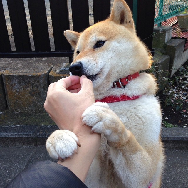 特斯·冯·迪克：展现中场指挥官风采，主宰比赛节奏，冯·迪特里施