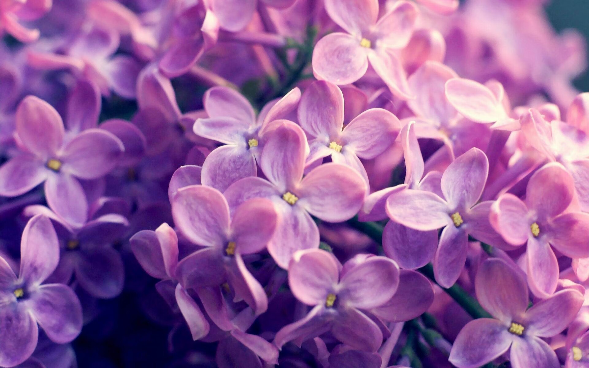 leyu.com-男子队重建期延长面临挑战