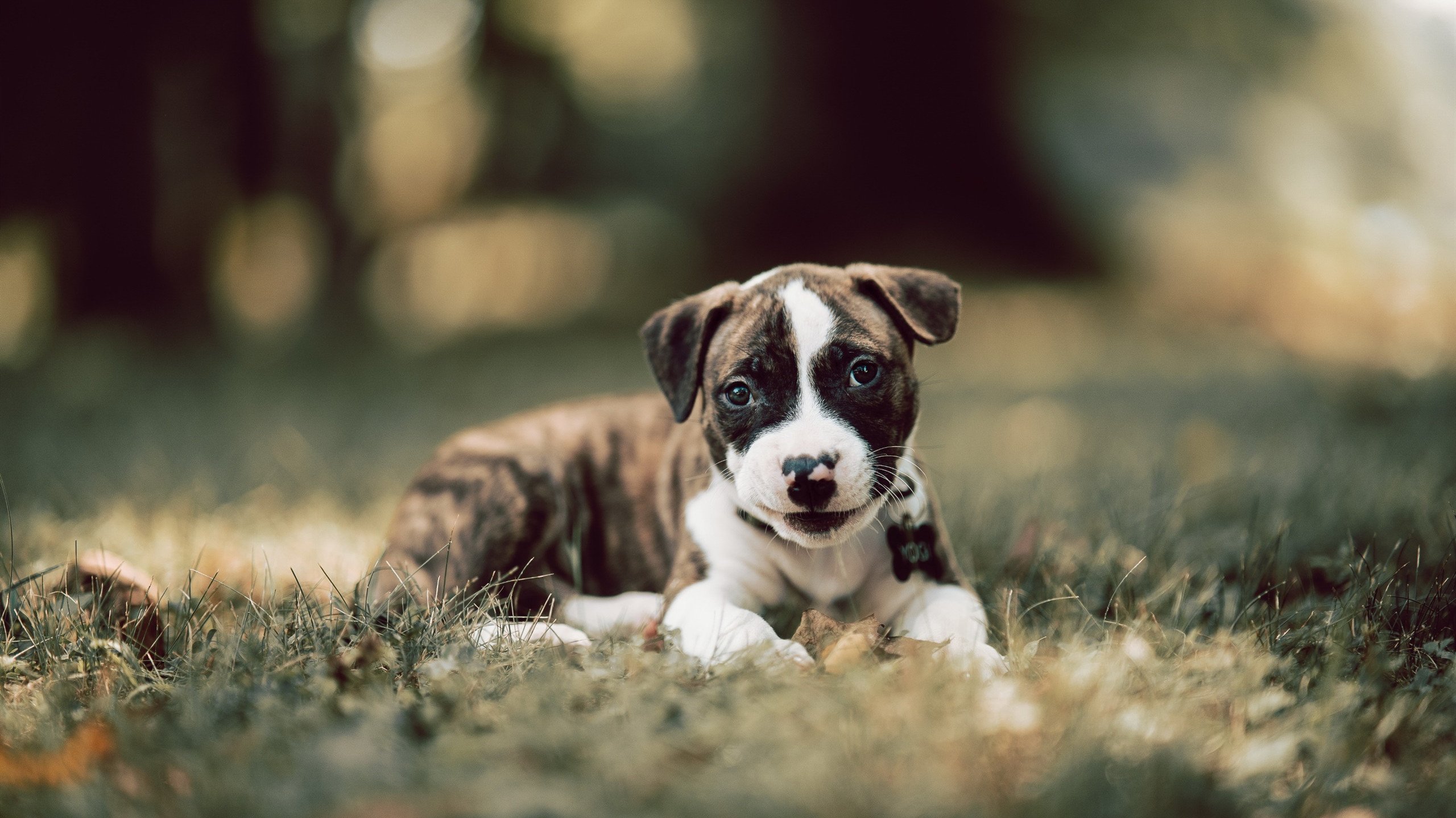 leyu.com-退役球星分享生涯故事成为青少年励志榜样引发广泛讨论，球星退役感人视频背景音乐