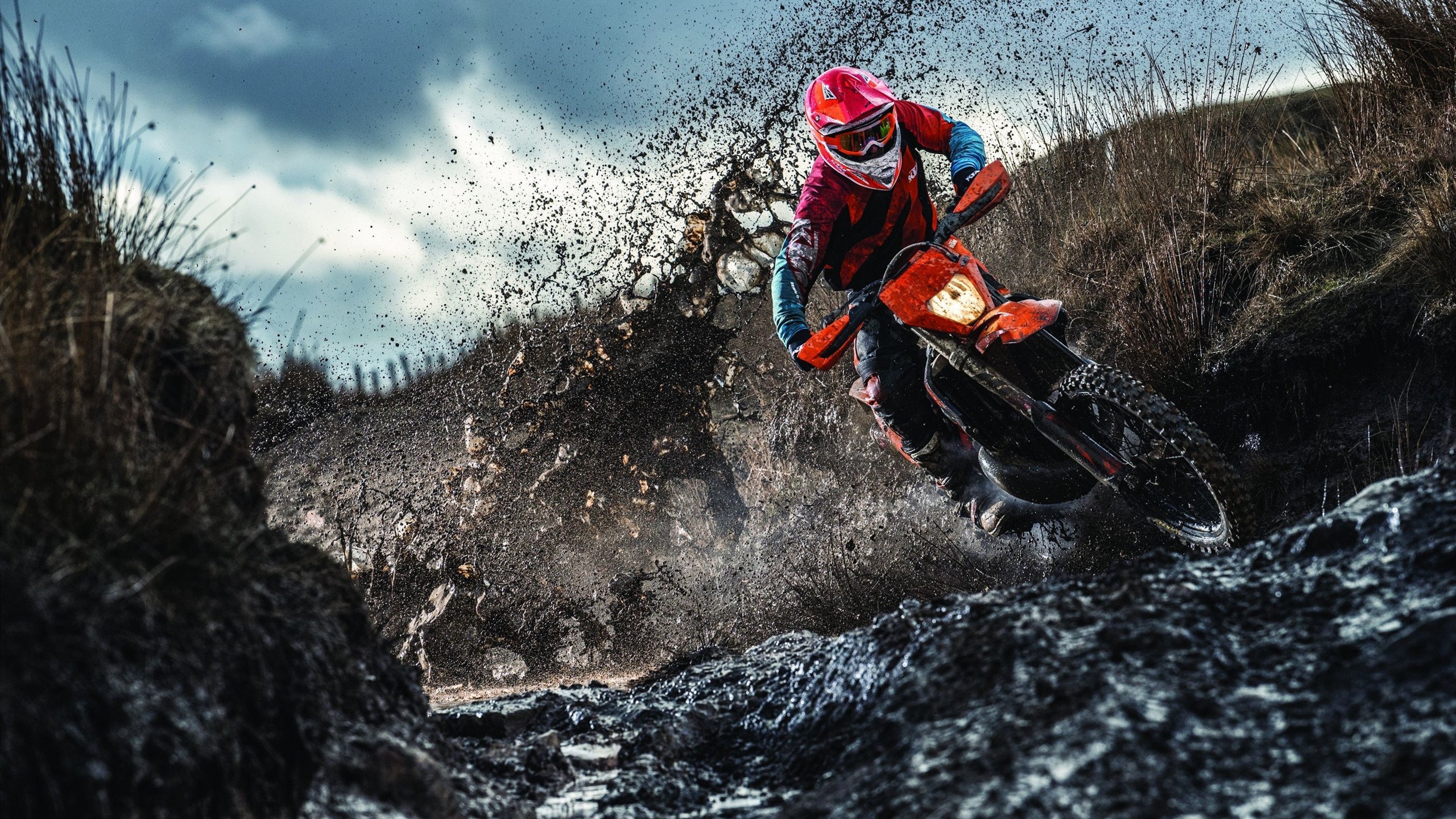 “德甲最后冲刺,领先队伍展现强大火力”,德甲还剩几轮结束