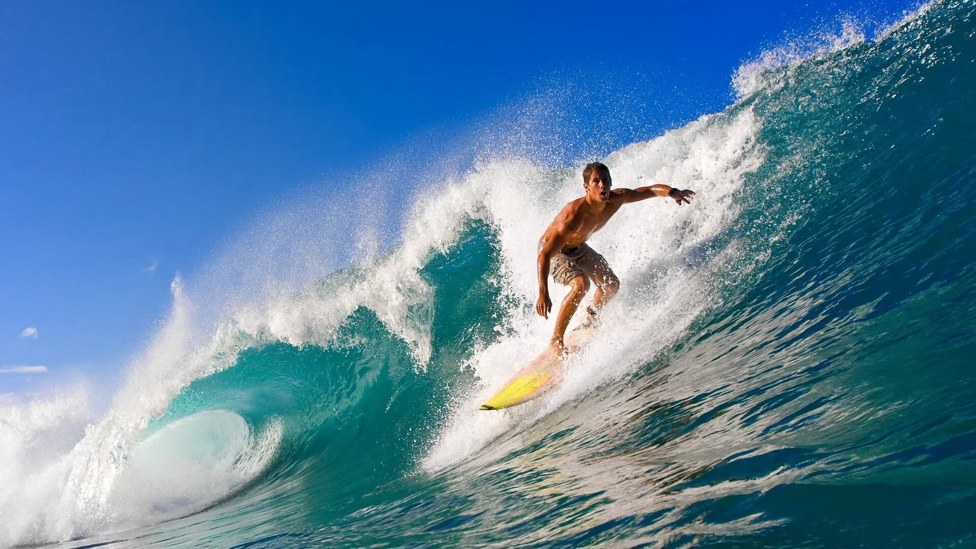 【球迷盛宴】现场气氛爆棚的棒球赛事回顾，棒球比赛